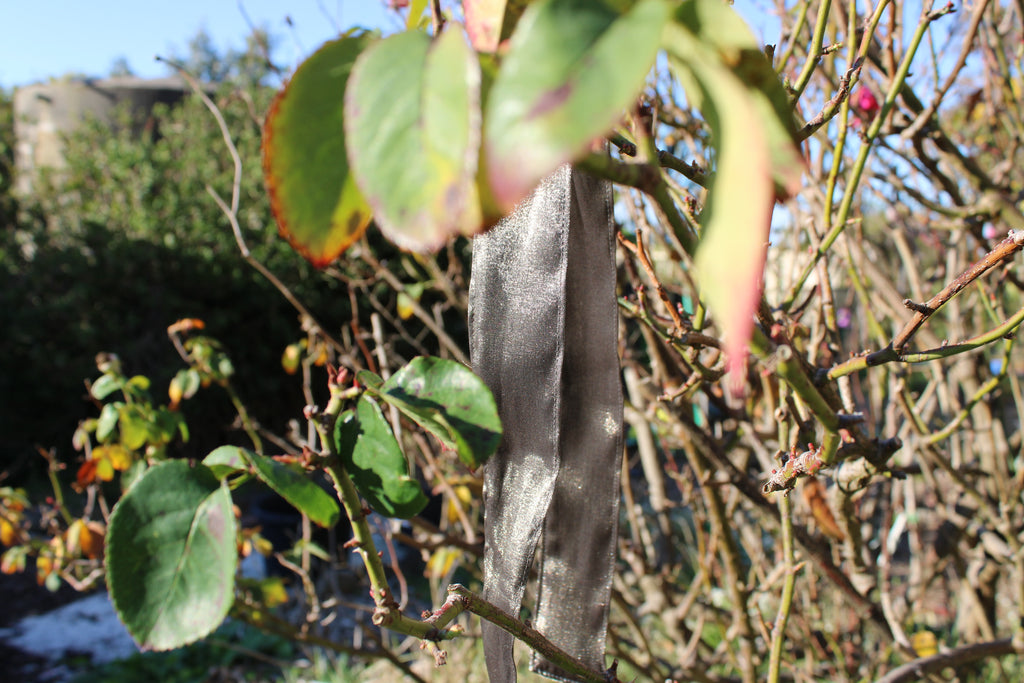 Olivia Neck Tie