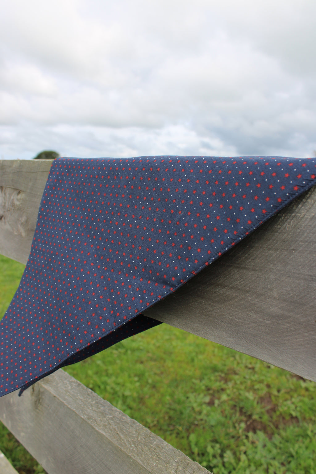 Wyatt Neck Scarf