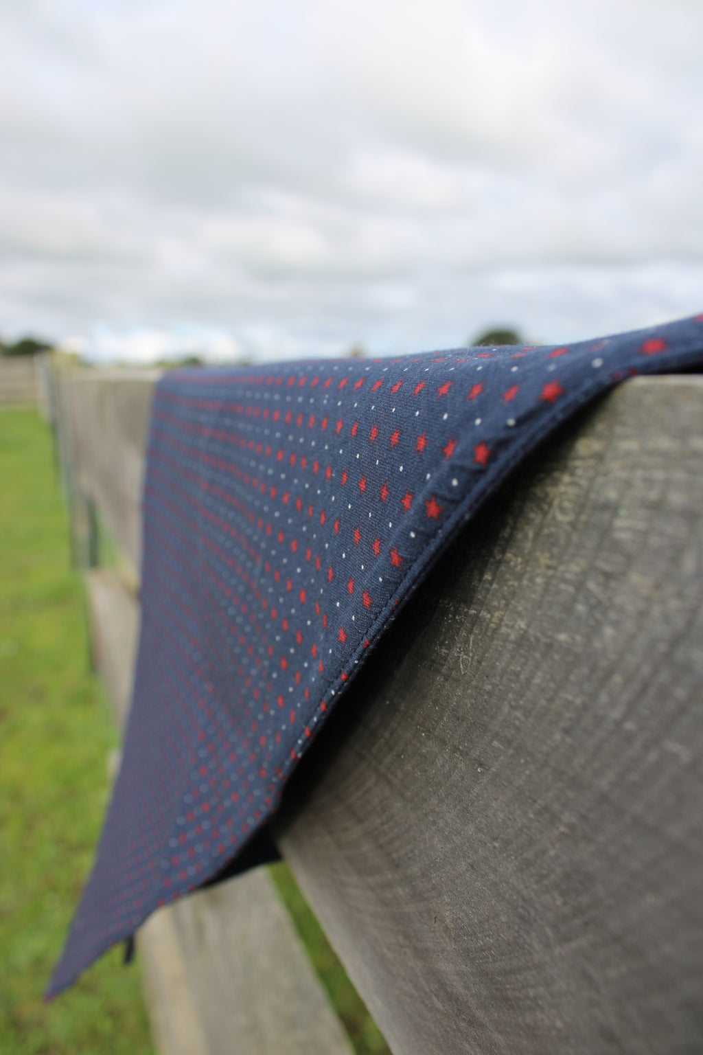 Wyatt Neck Scarf