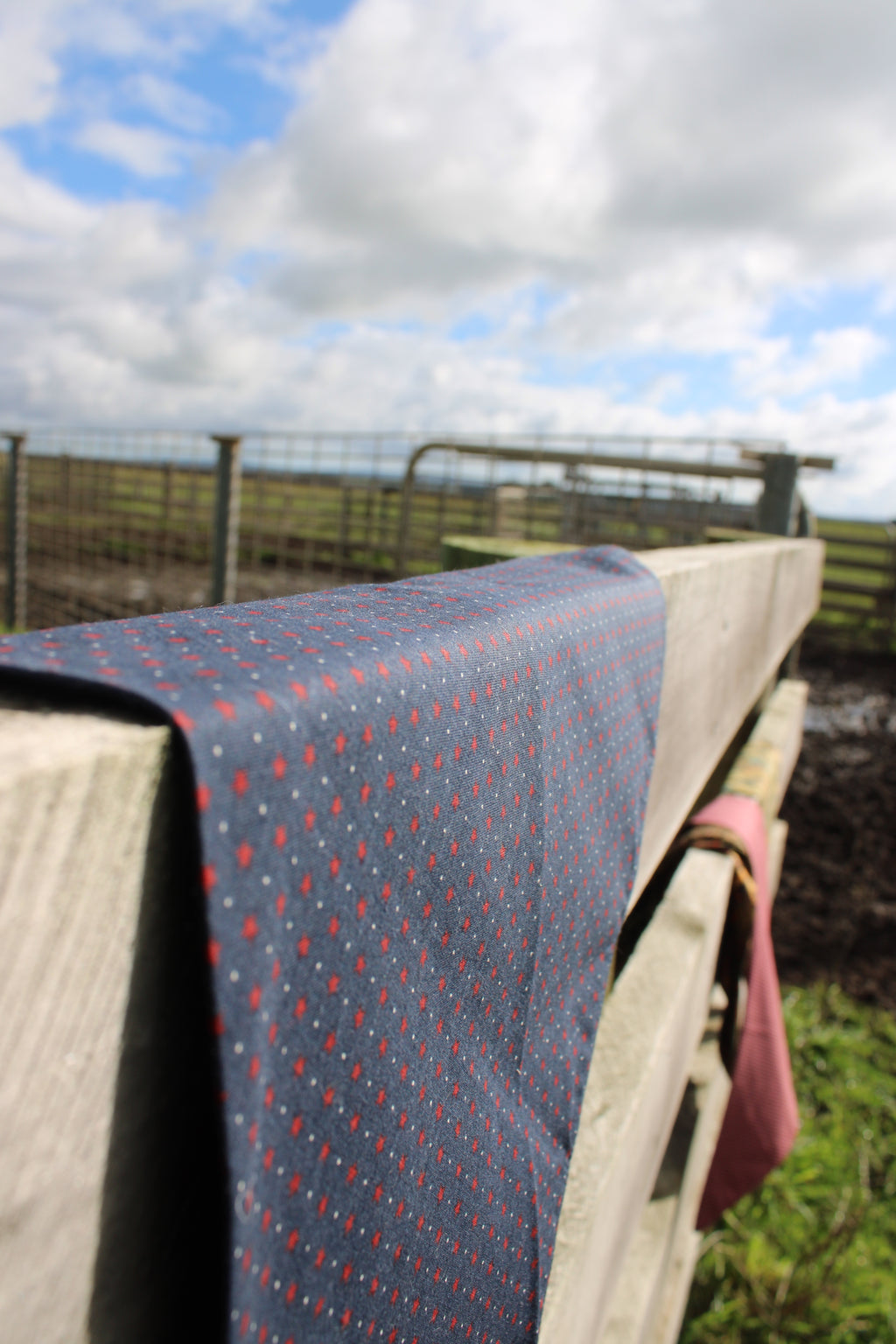 Wyatt Neck Scarf