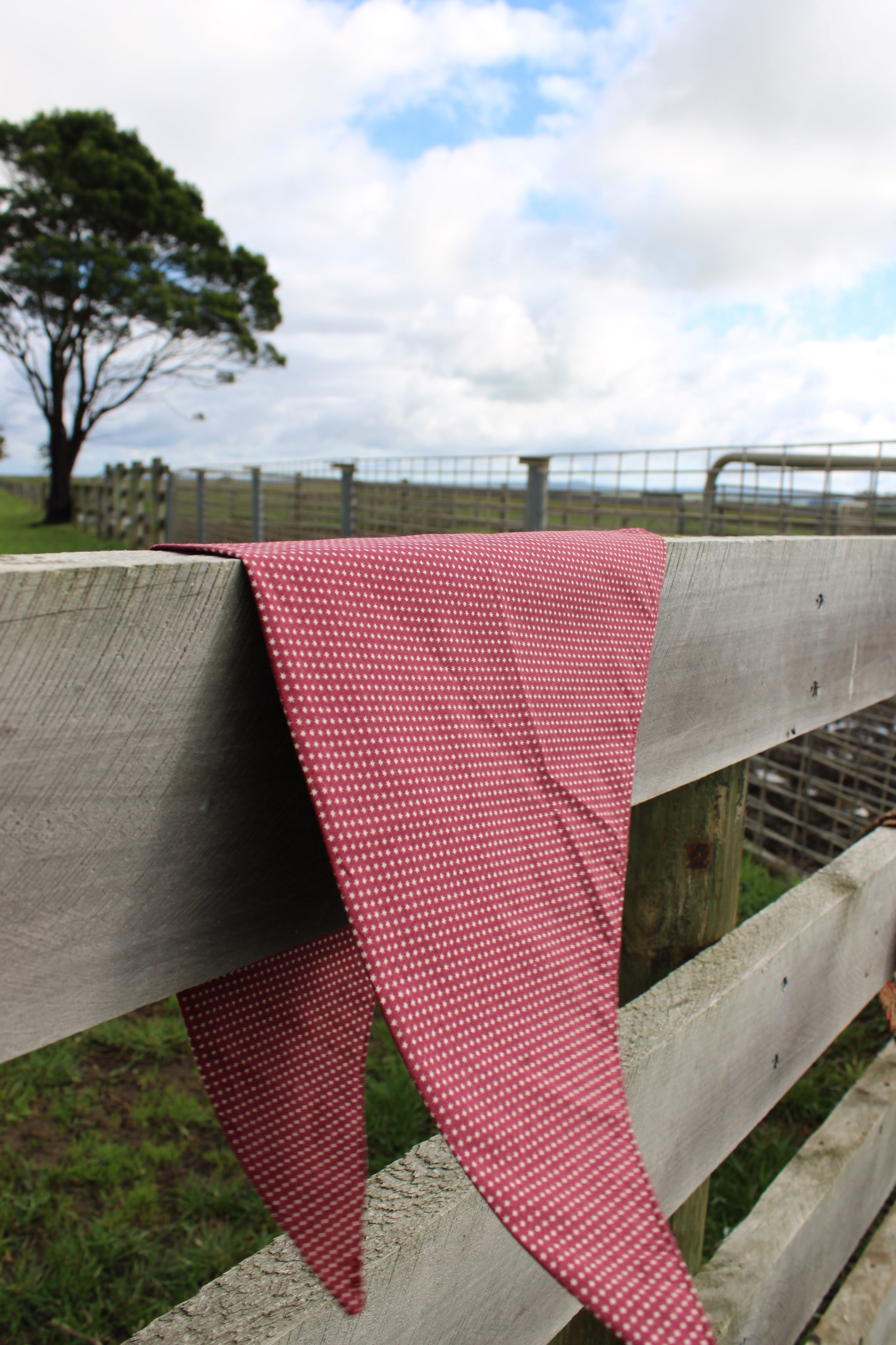 Canyon Rose Neck Scarf