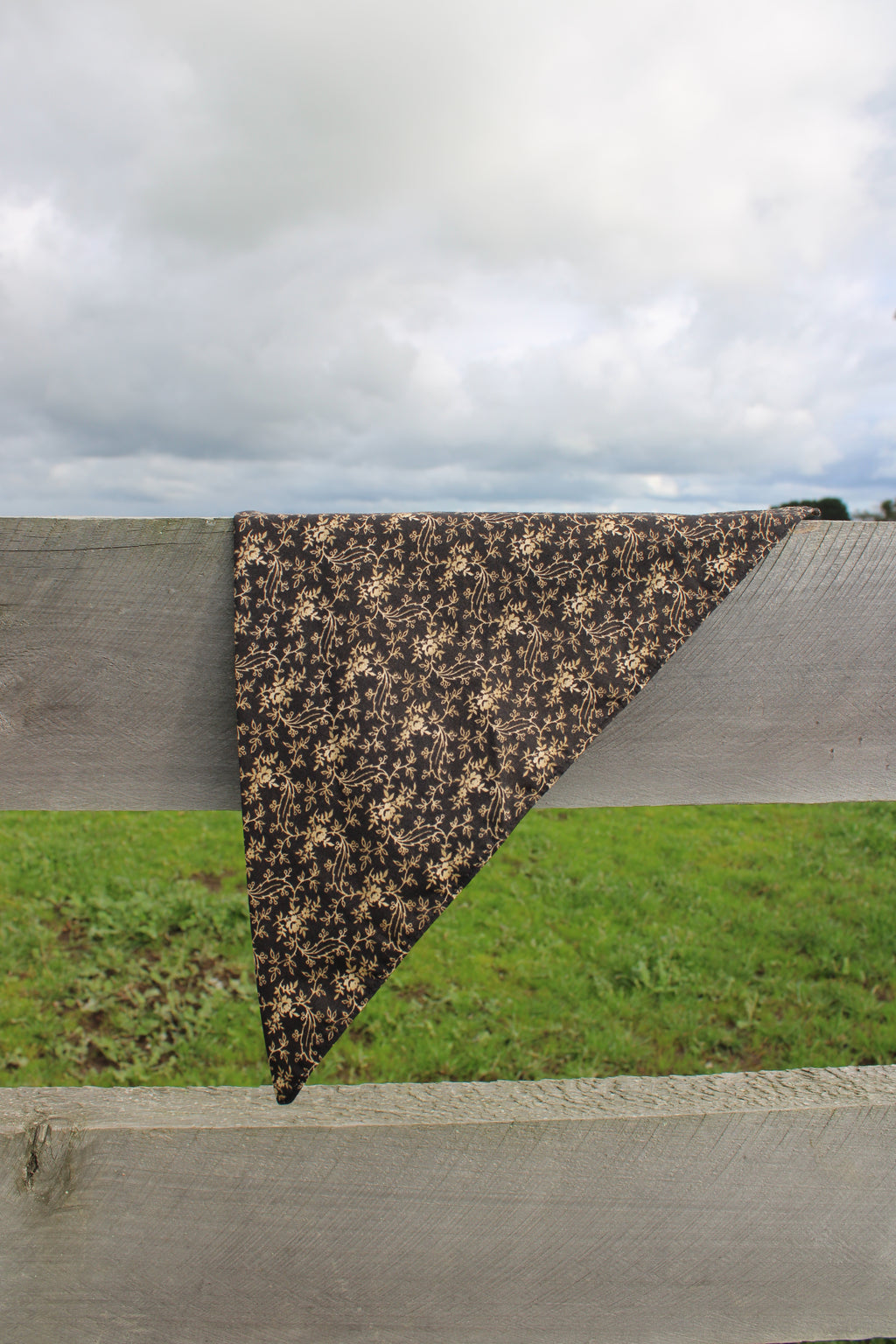 Midnight Gold Neck Scarf