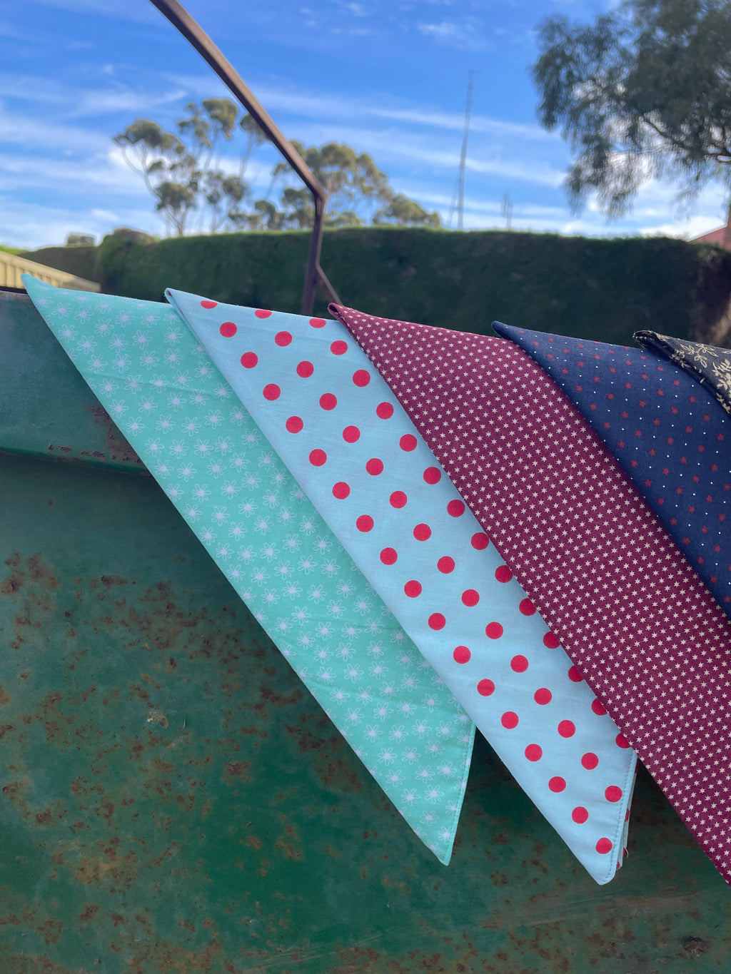 Canyon Rose Neck Scarf