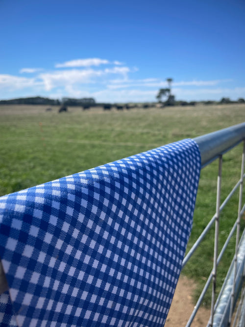 Ainsley Neck Scarf